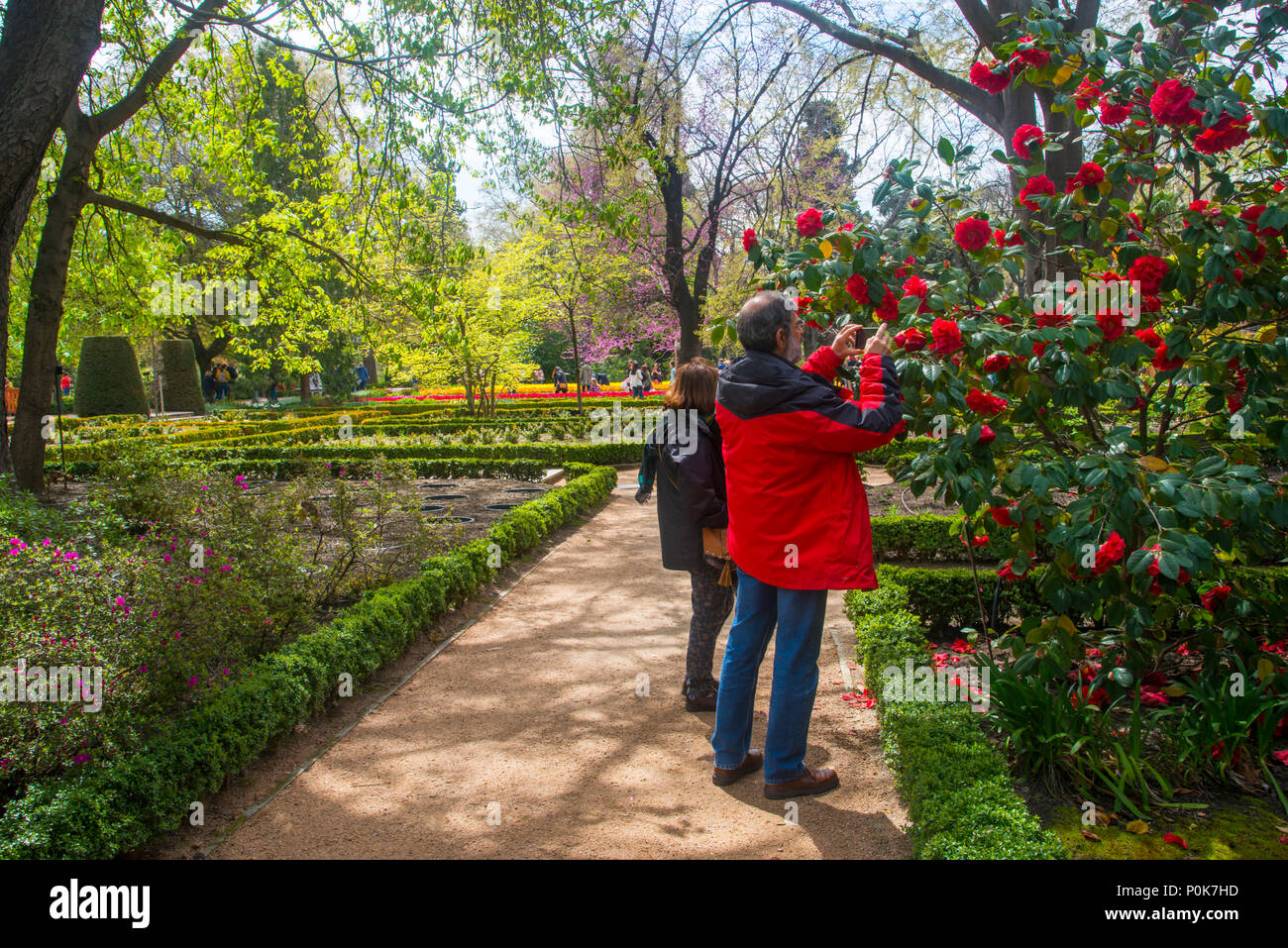 Menschen, die in der Königlichen Botanischen Garten. Madrid, Spanien. Stockfoto