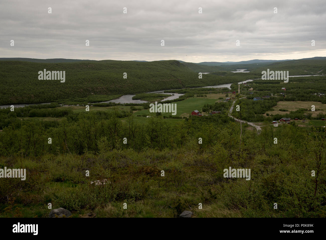 Wie in Mach-/Fahrtenmesser Dorf Moor-birken sind Teile von Norways northenmost Provinz Finnmark. Stockfoto