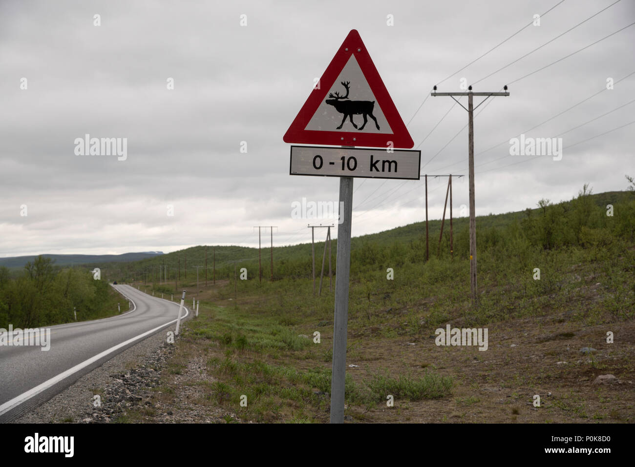 Rentiere sind manchmal in Verkehrsunfällen in der Provinz Finnmark Norwegen beteiligt. Daher spezifische Verkehrsschilder warnen: Gefahr einer Kollision. Stockfoto
