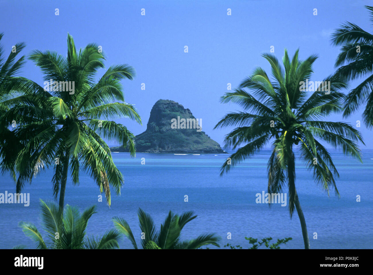 1993 historische PALMEN CHINAMANS HAT MOKOLI INSEL Kane'ohe Bay HONOLULU, Oahu Hawaii USA Stockfoto