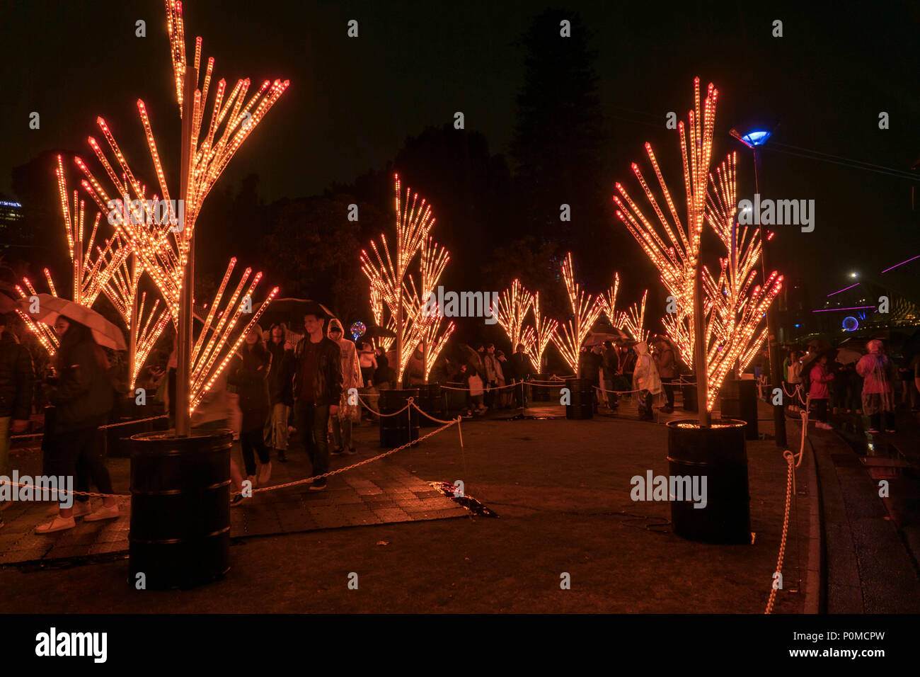 Nautilus Wald im Botanischen Garten bei Vivid Sydney 2018 Stockfoto