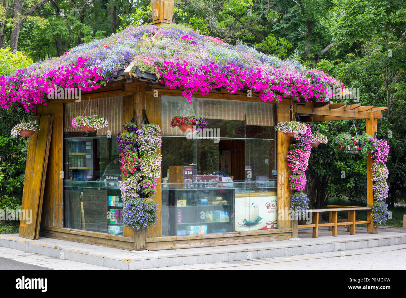 Yangzhou, Jiangsu, China. Erfrischung stehen mit Blumen bedeckt, schlanke West Lake Park. Stockfoto