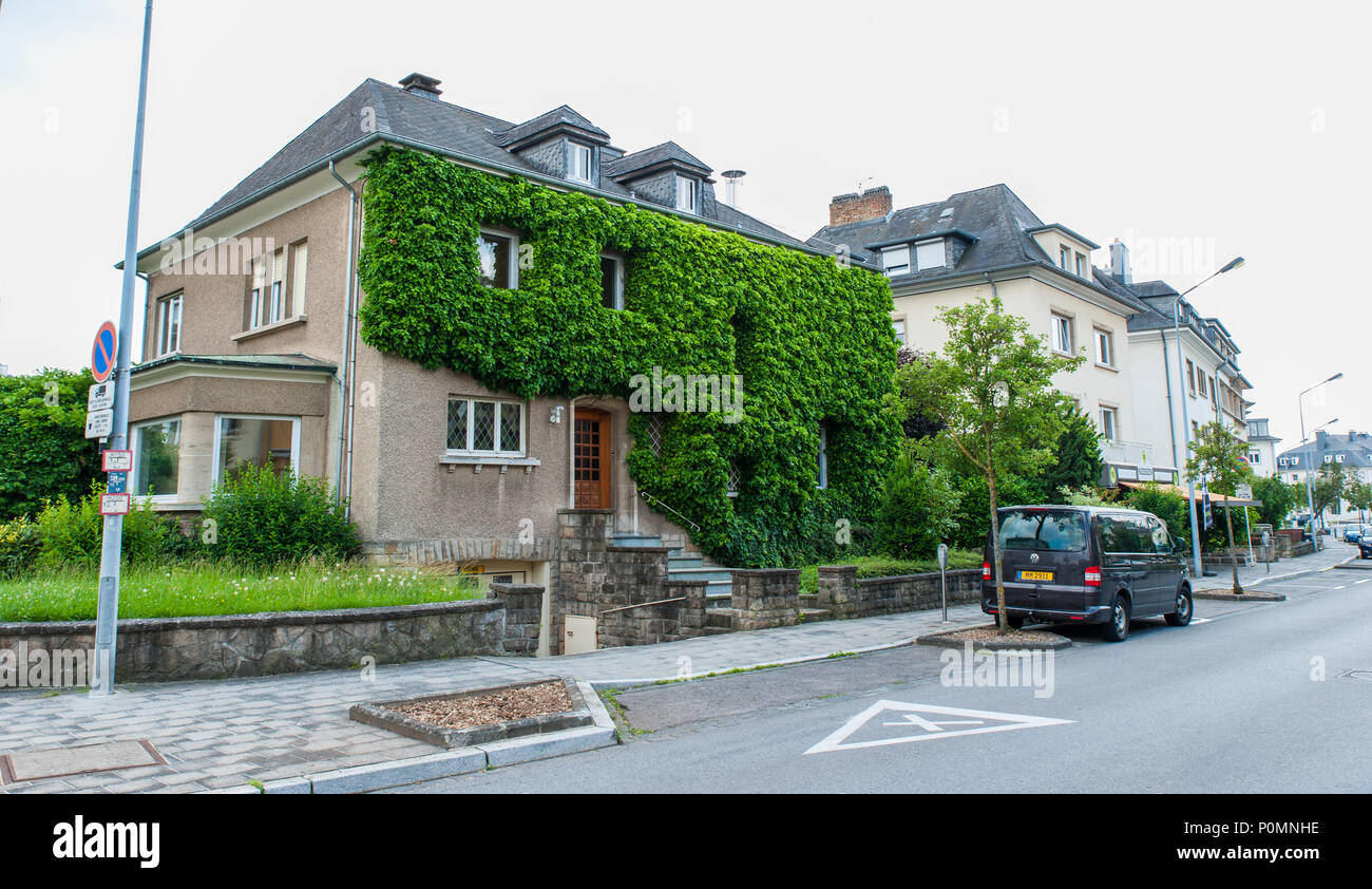 Haus bedeckt mit Efeu, Luxemburg Stockfoto