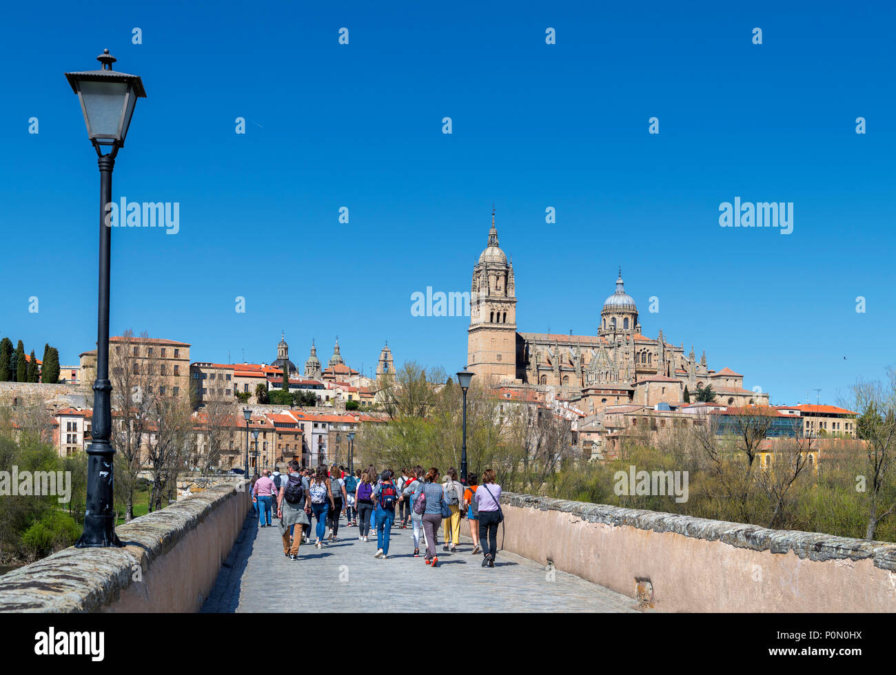 Salamanca, Spanien. Blick auf die Altstadt und Kathedralen von der Puente Romano (Römische Brücke), Salamanca, Castilla y Leon, Spanien Stockfoto