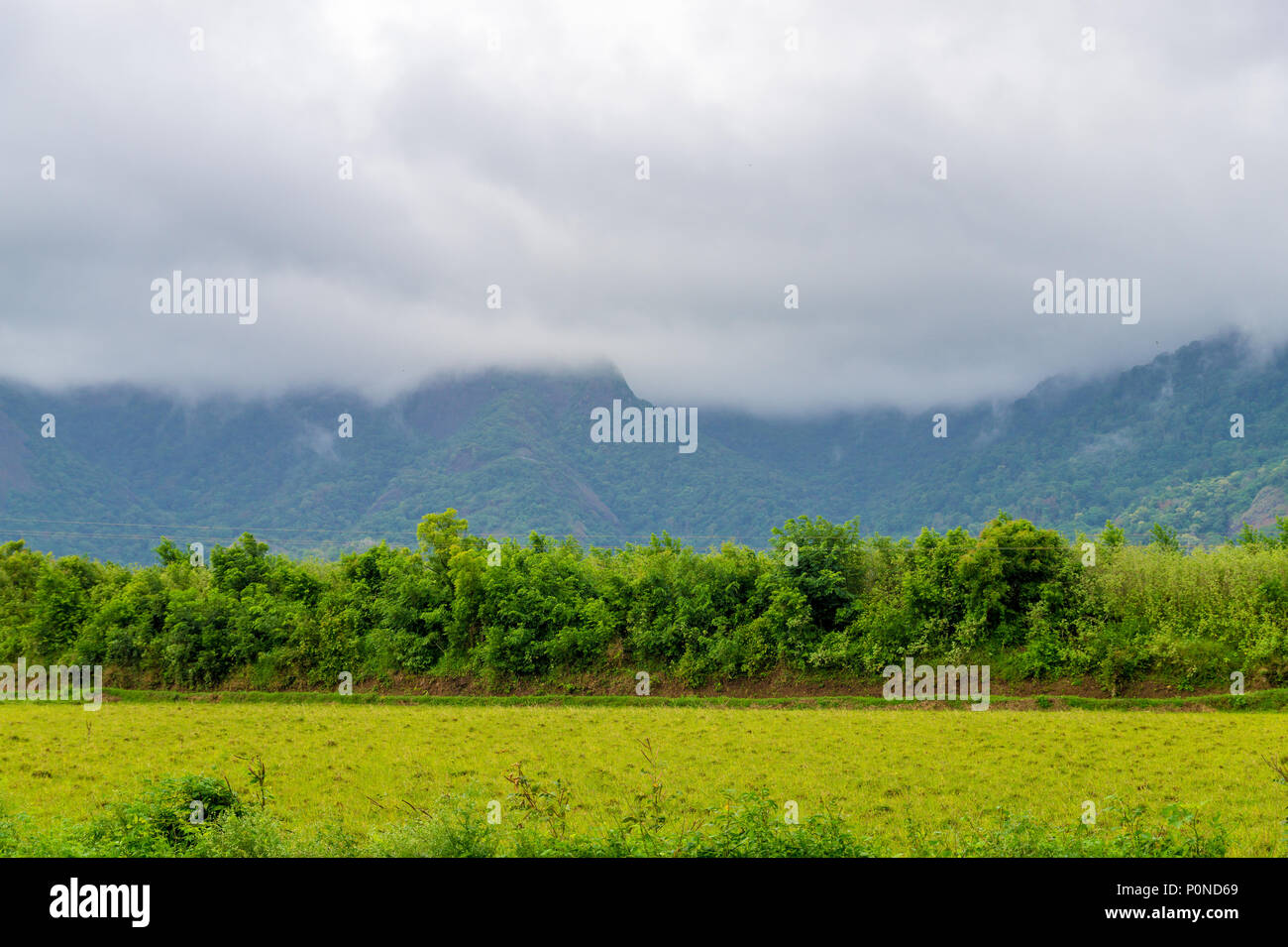 Grüne Felder mit Bergen im Hintergrund und bedecktem Himmel Stockfoto