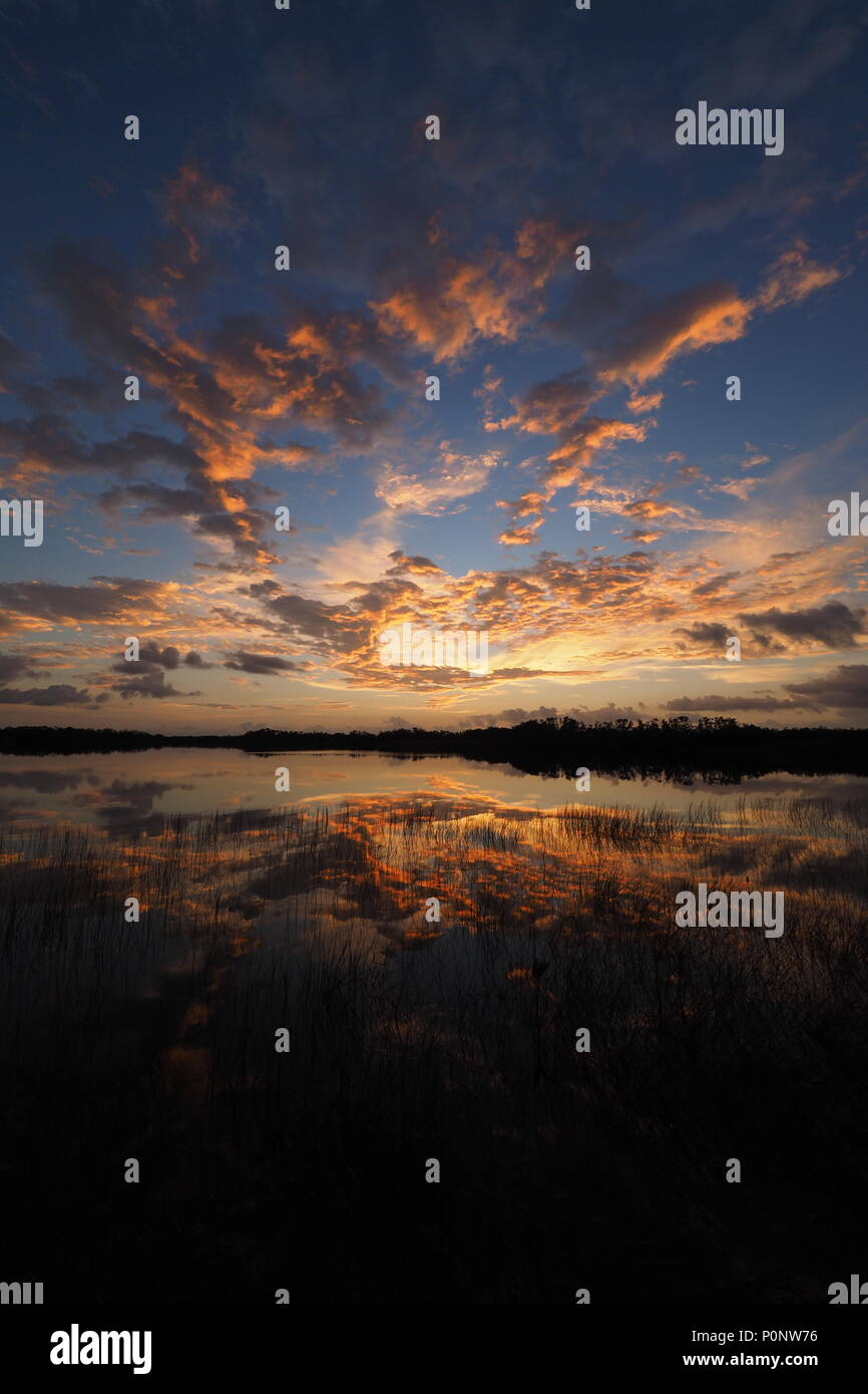 Bunte sunrise über neun Kilometer Teich in den Everglades National Park, Florida. Stockfoto