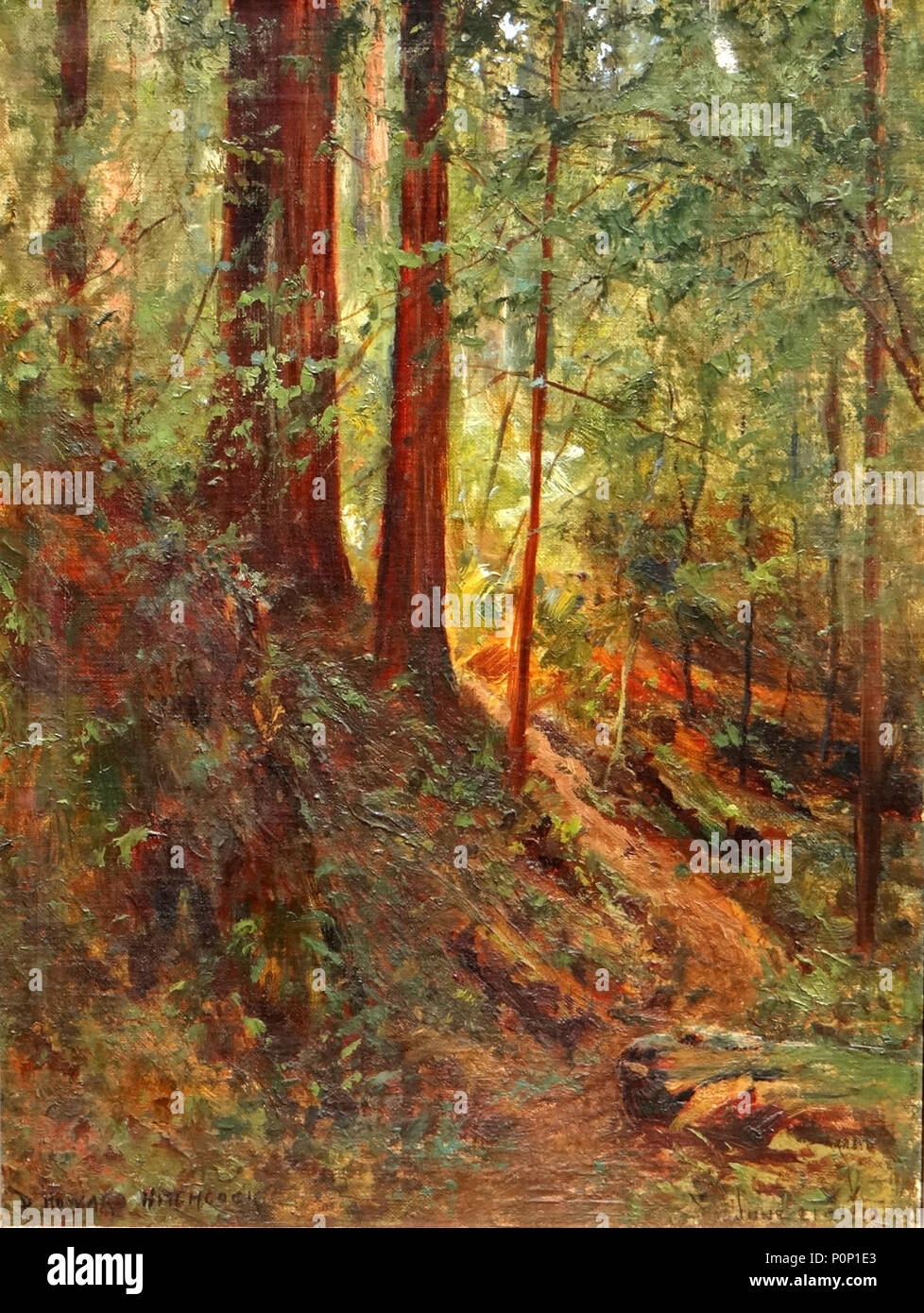 "Von der Straße auf dem Weg nach Stinson Beach von Mill Valley" von David Howard Hitchcock Stockfoto