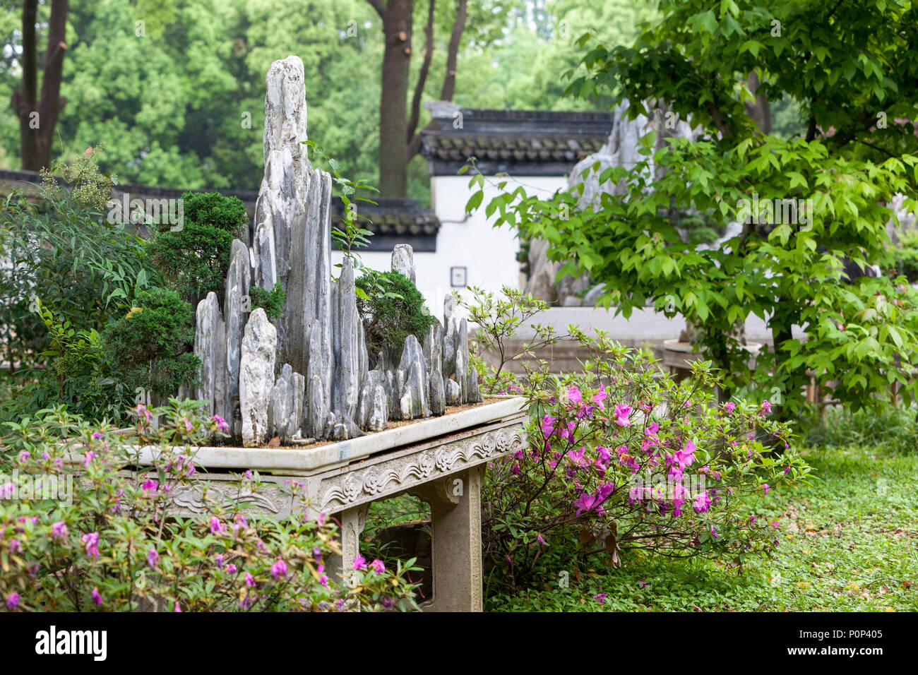 Suzhou, Jiangsu, China. Felsformationen in Bonzai Garten, Tiger Hill. Stockfoto