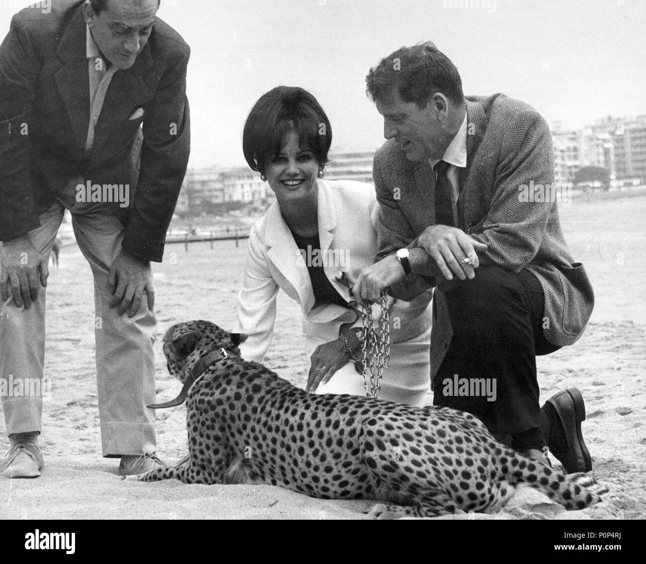 Stars: Burt Lancaster; Luchino Visconti; Claudia Cardinale. Stockfoto