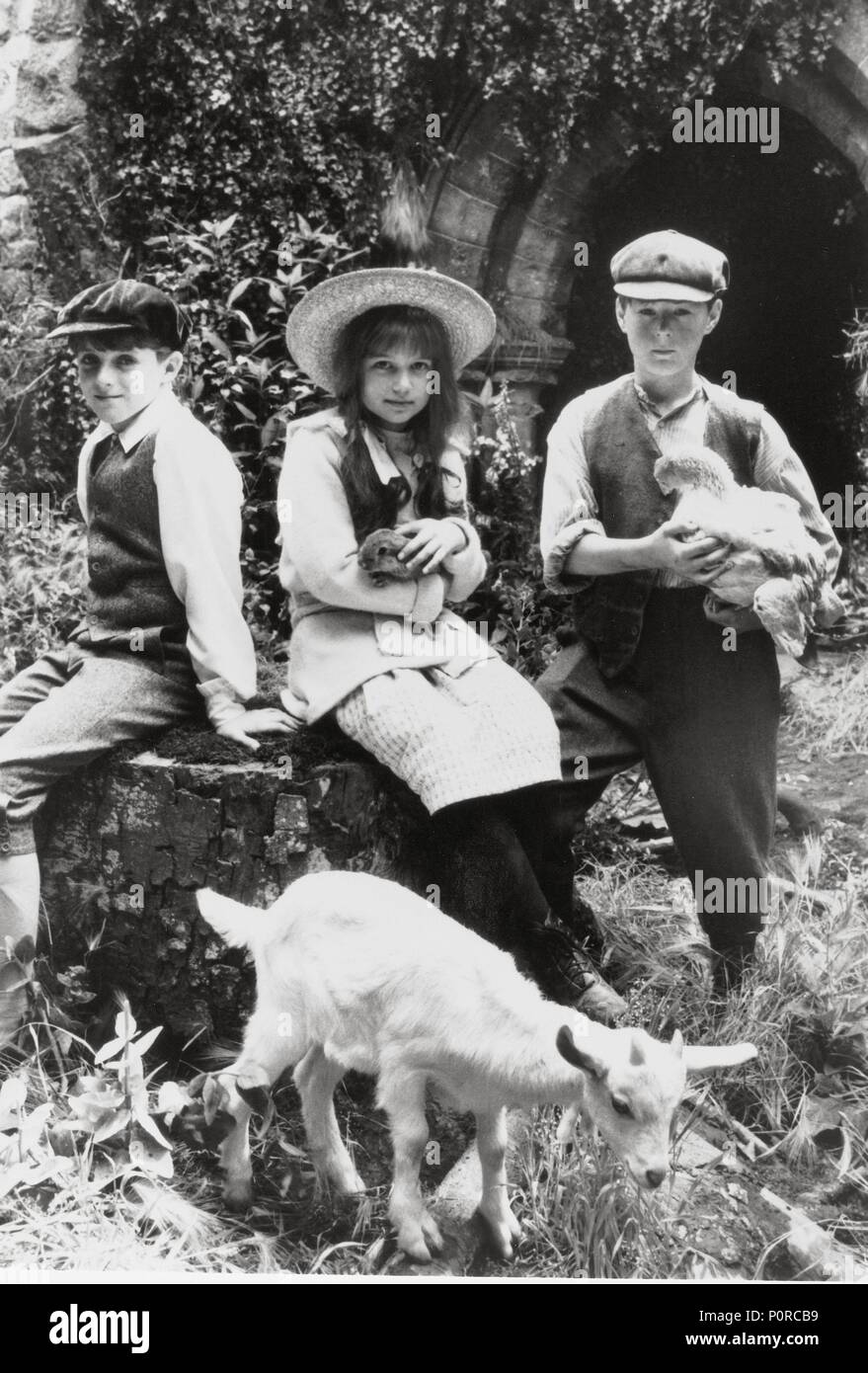 Regisseur andrew prowse Fotos und Bildmaterial in hoher Auflösung Alamy