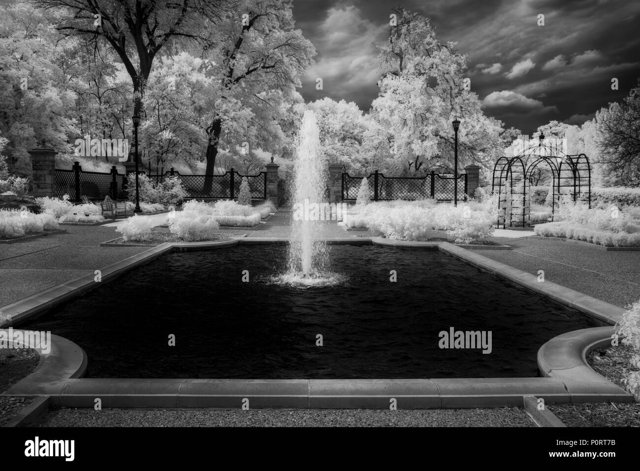 Botanischer Garten unter einer Firma Ominus Texas Sky Stockfoto