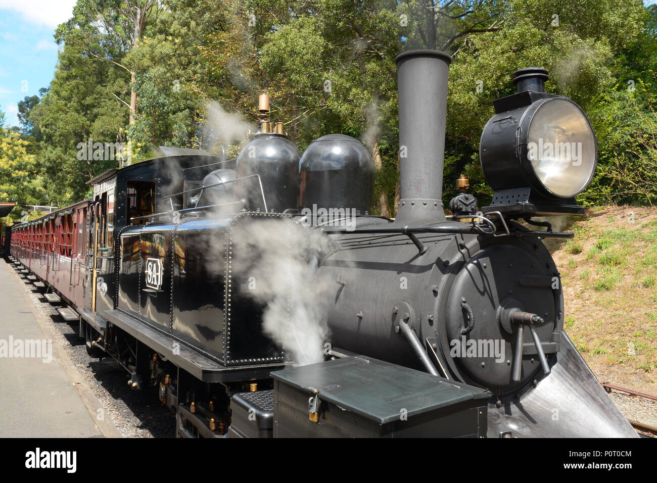 Puffing Billy, Australiens Premier Steam Railway erhalten, Melbourne Stockfoto