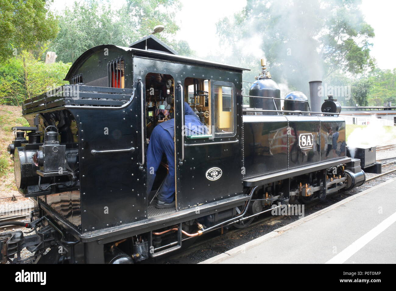 Puffing Billy, Australiens Premier Steam Railway erhalten, Melbourne Stockfoto