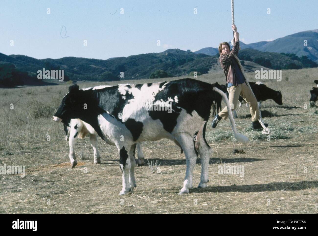 Original Film Titel: RAT RACE. Englischer Titel: RAT RACE. Regisseur: Jerry Zucker. Jahr: 2001. Credit: TENNER, SUZANNE/Album Stockfoto
