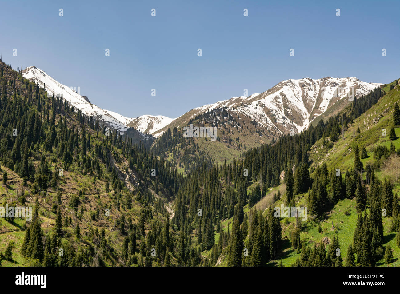 Die schneebedeckten Berge an Chimbulak, Kasachstan Stockfoto