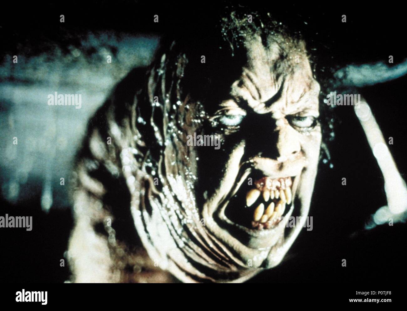 Original Film Titel Das Ding Englischer Titel Das Ding Regisseur John Carpenter Jahr 1982 Quelle Universal Pictures Album Stockfotografie Alamy