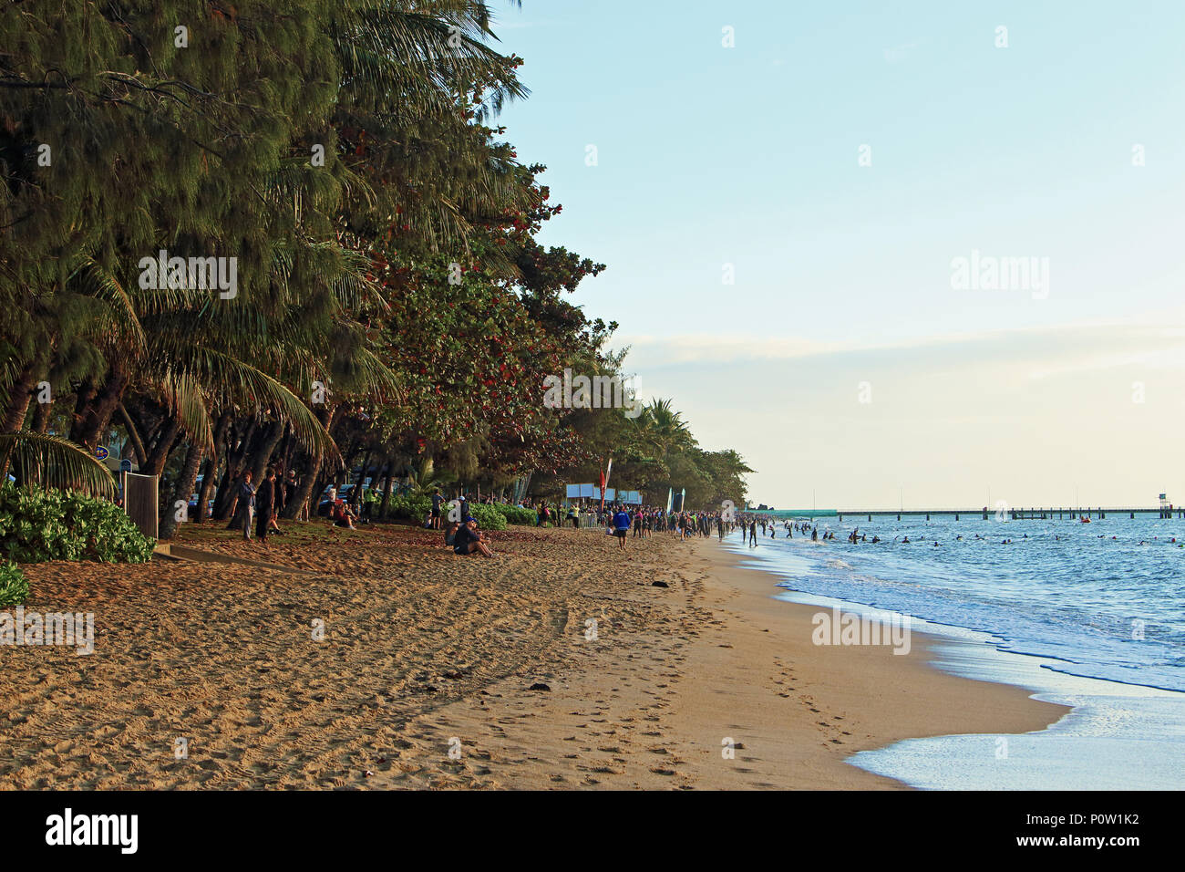 Palm Cove Beach, Insel, Ironman Asia Pacific trialthlon Veranstaltung schwimmen Bein unterwegs Offshore in Palm Cove bald nach Sonnenaufgang Stockfoto