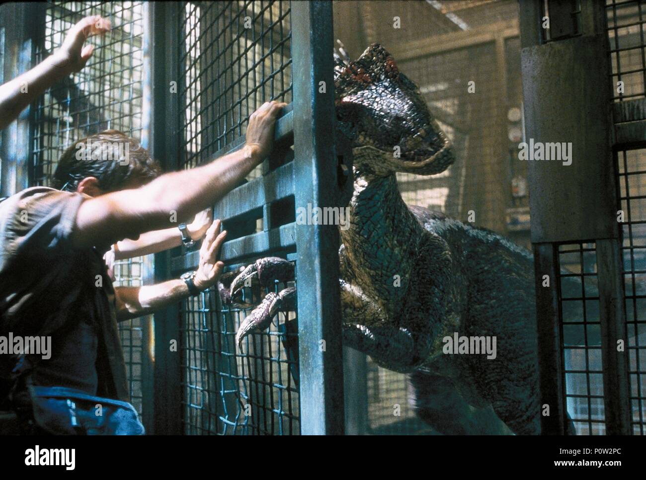 Original Filmtitel: Jurassic Park III. Englischer Titel: Jurassic Park III. Regisseur: Joe Johnston. Jahr: 2001. Credit: UNIVERSAL STUDIOS/Album Stockfoto