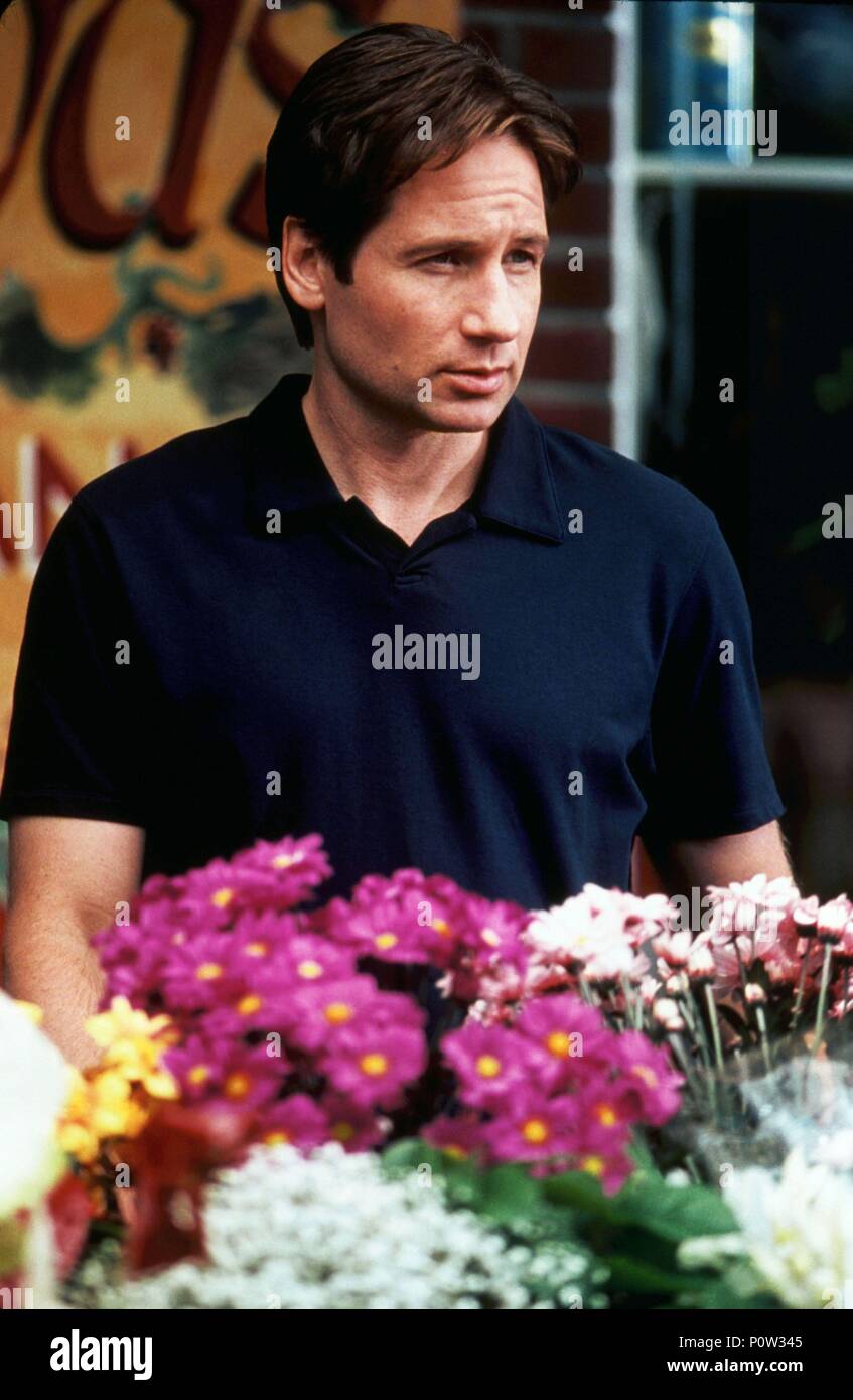 Original Film Titel: CONNIE UND CARLA. Englischer Titel: CONNIE UND CARLA. Regisseur: MICHAEL LEMBECK. Jahr: 2004. Stars: David Duchovny. Quelle: Universal/Album Stockfoto