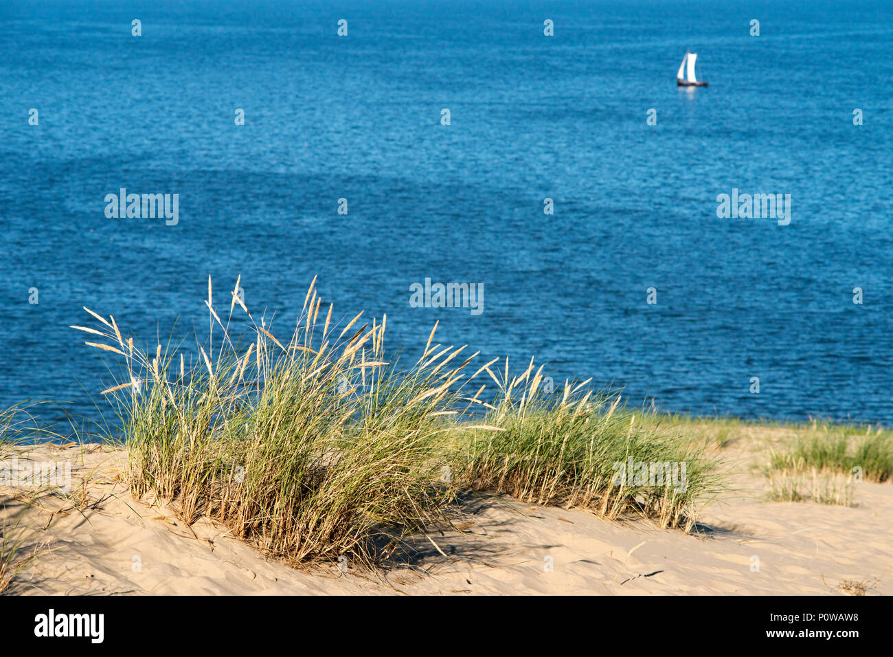 Sanddünen gras landschaft mit blaues Meer und weiße Segel auf Hintergrund Stockfoto