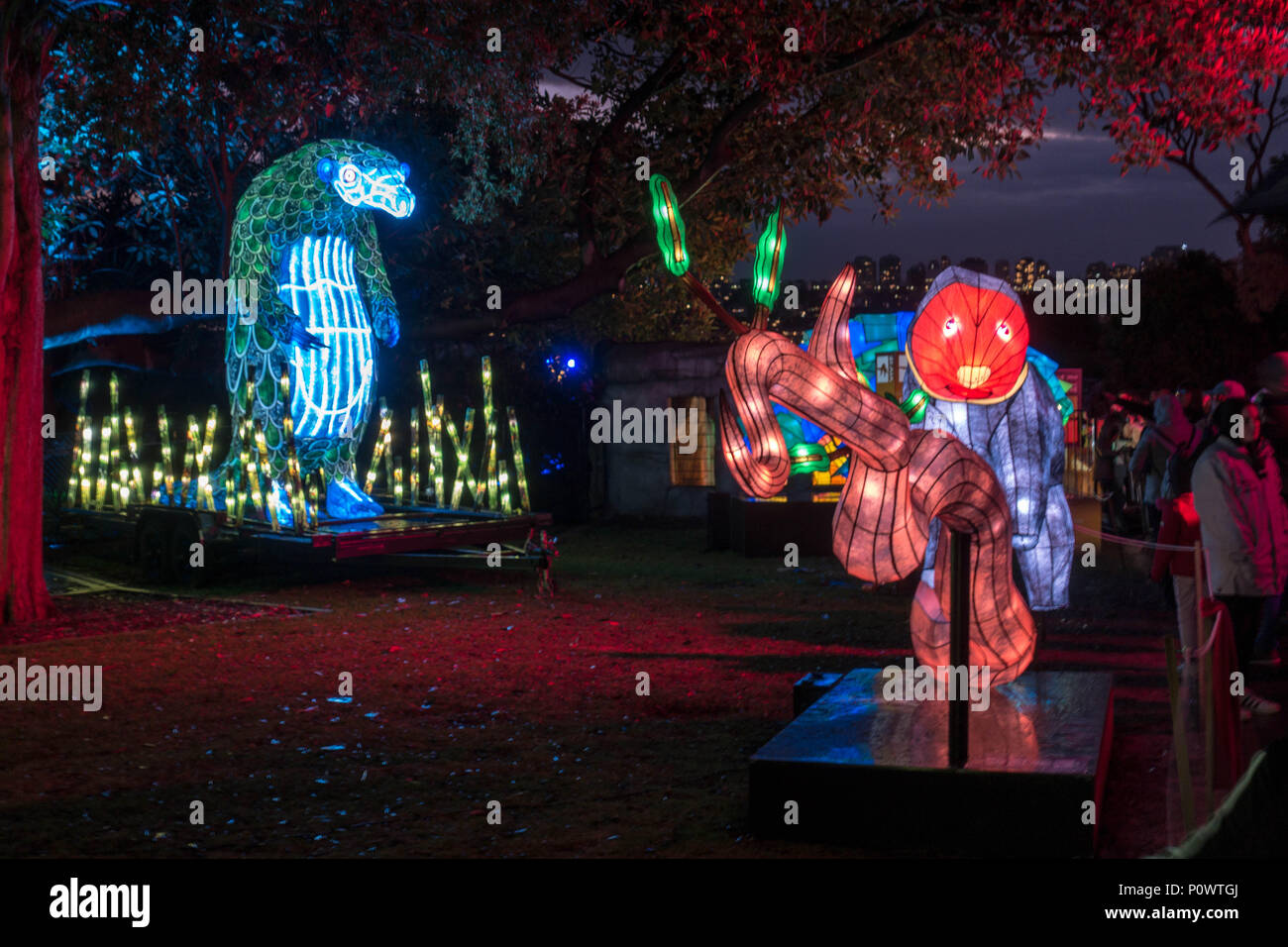 Pangolin am Taronga Zoo für Vivid Sydney 2018 Stockfoto