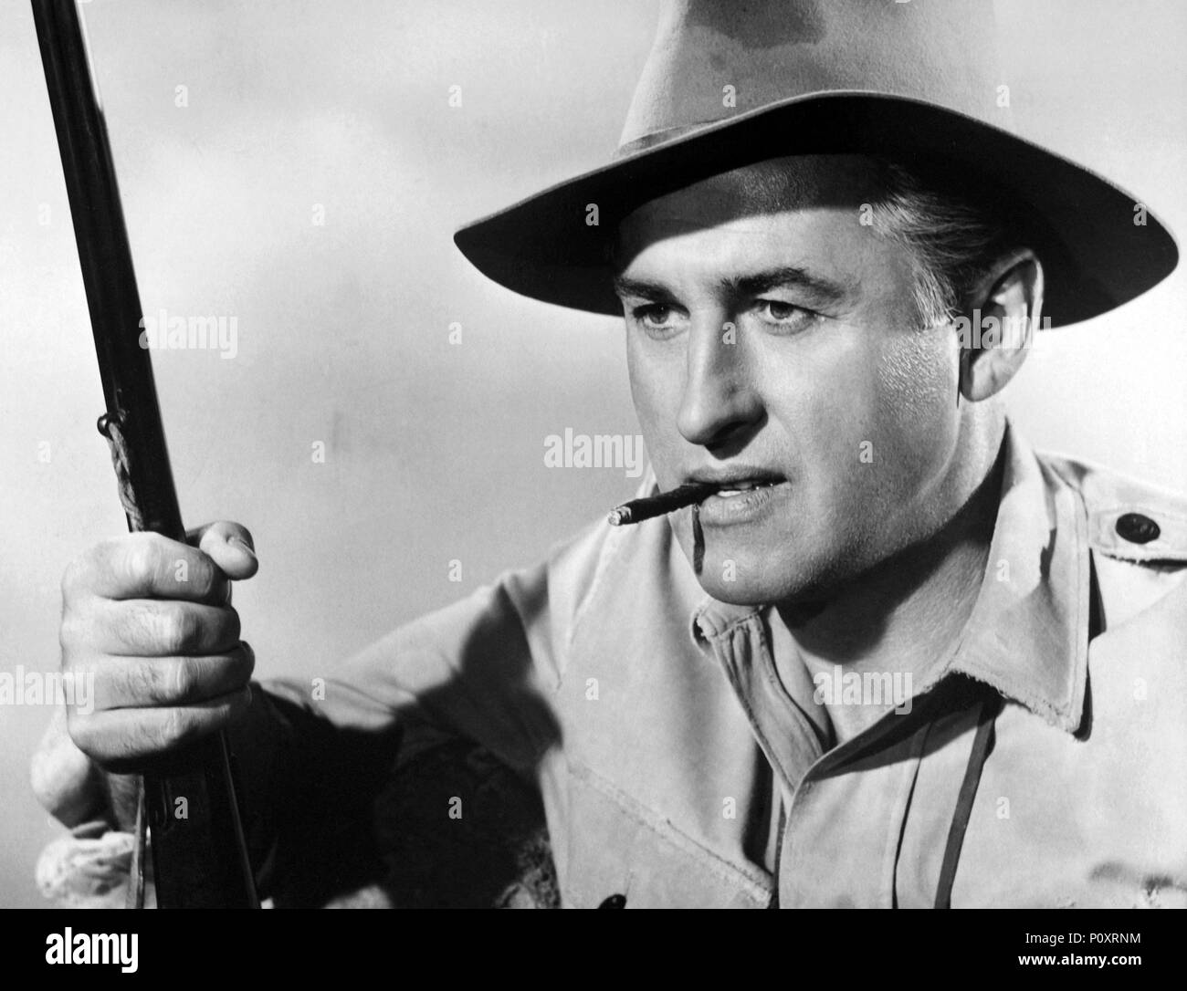 Original Filmtitel HARRY SCHWARZ UND DER TIGER. Englischer Titel