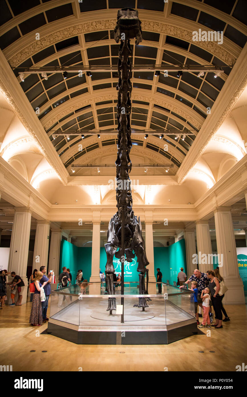 Birmingham, Großbritannien. 10. Juni 2018. Dippy auf Tour ist das Natural History Museum von Diplodocus Skelett bekannt als dippy Es wird auf dem Display vom 26. Mai bis 9. September Es ist ein kostenloses Ticket Ereignis werden. Stockfoto