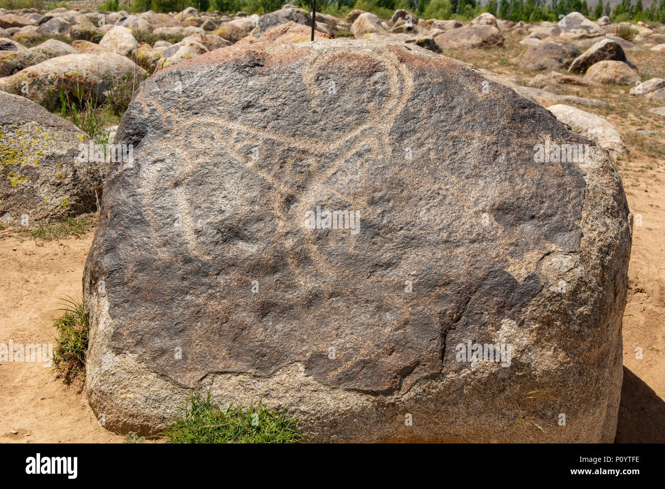 Petroglyph in Stein Garten, Cholpon Ata, Kirgisistan Stockfoto