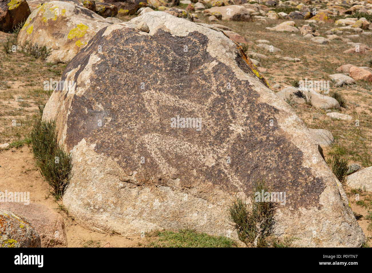 Petroglyph in Stein Garten, Cholpon Ata, Kirgisistan Stockfoto