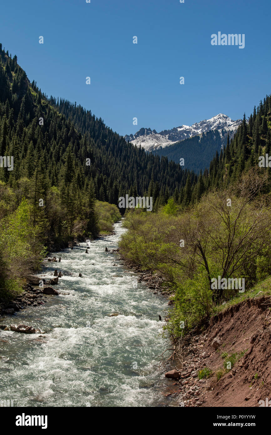 Fluss in Jety Oguz Schlucht, in der Nähe von Karakol, Kirgisistan Stockfoto