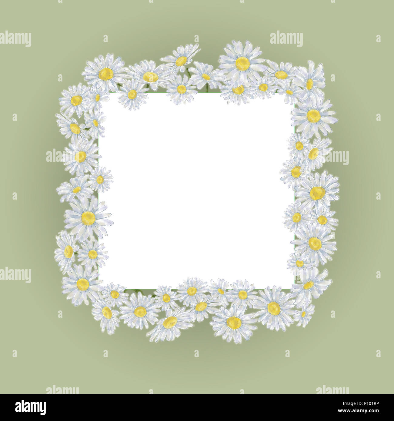Daisy Rahmen auf Grün mit weißen Quadrat Karte für Text. Kamille Grenze für quadratische Vorlage auf Grün. Floral frame Vorlage für Event Dekoration. Stockfoto