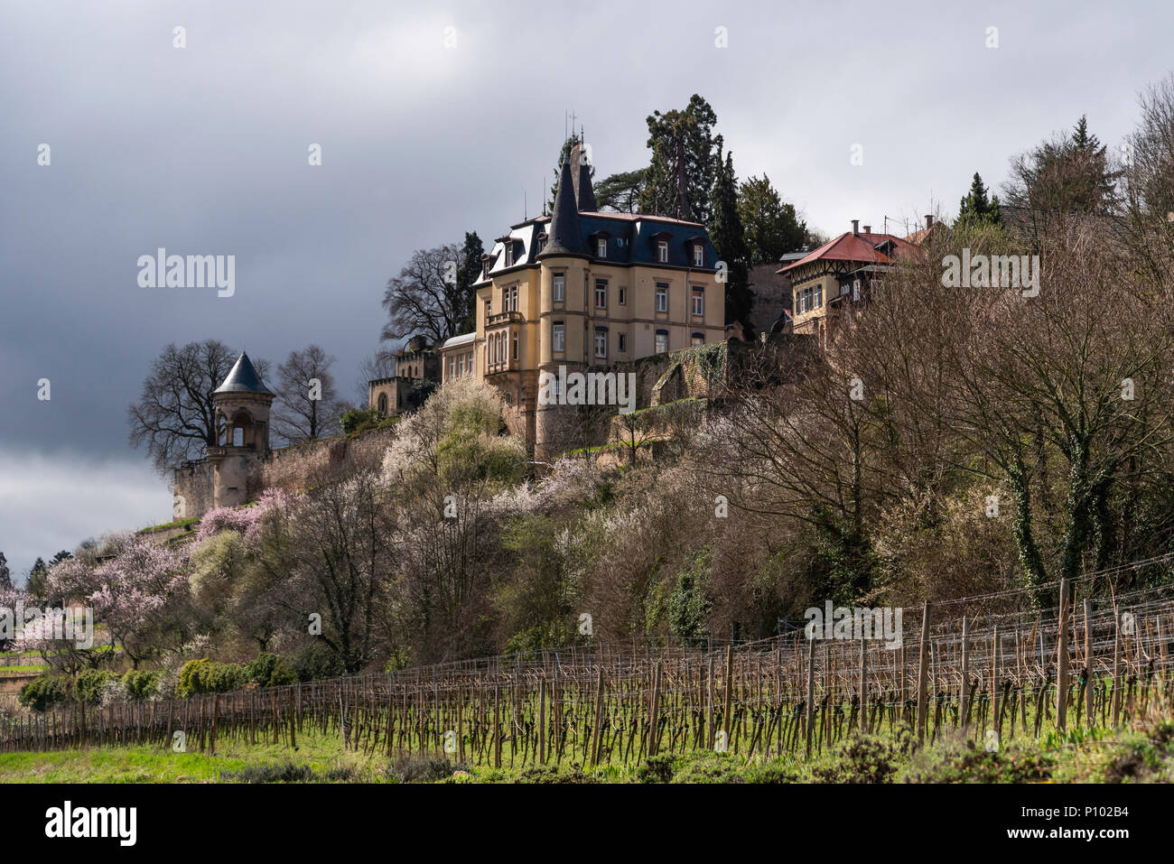 Haardter Schloss, Neustadt, Deutschland Stockfoto