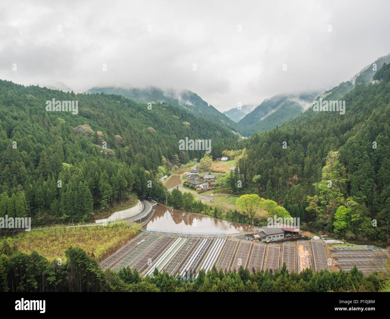 Ländliche Gebirge Landschaft, intensiven Gartenbau oder Reis auf flachem Land, Wald auf den Hügeln im Landesinneren Ehime, Shikoku, Japan Stockfoto