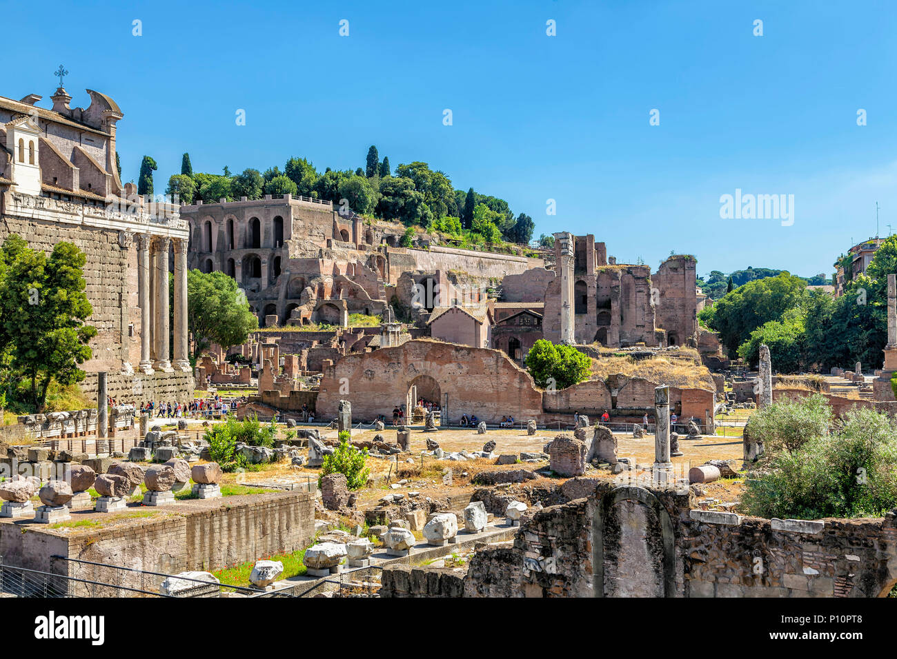 Panorama auf das Forum Romanum. Stockfoto