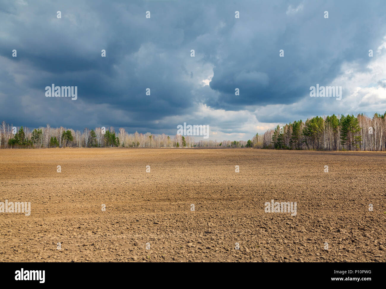 Gepflügtes Feld. Stockfoto