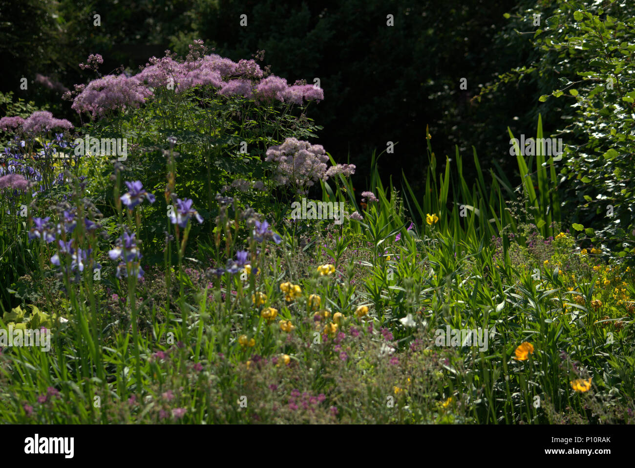 Schottische Landschaftsgarten im Frühjahr Stockfoto