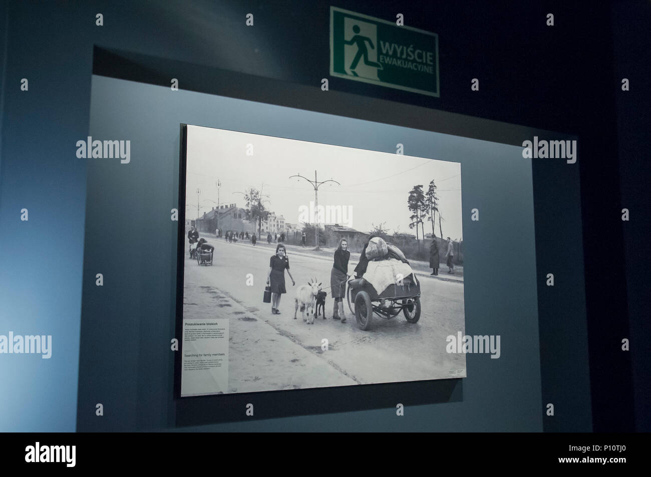 Nach dem Krieg Flüchtlinge als Teil der exhibion im Museum des Zweiten Weltkriegs in Danzig, Polen. 23. Januar 2017 © wojciech Strozyk/Alamy Stock Foto Stockfoto