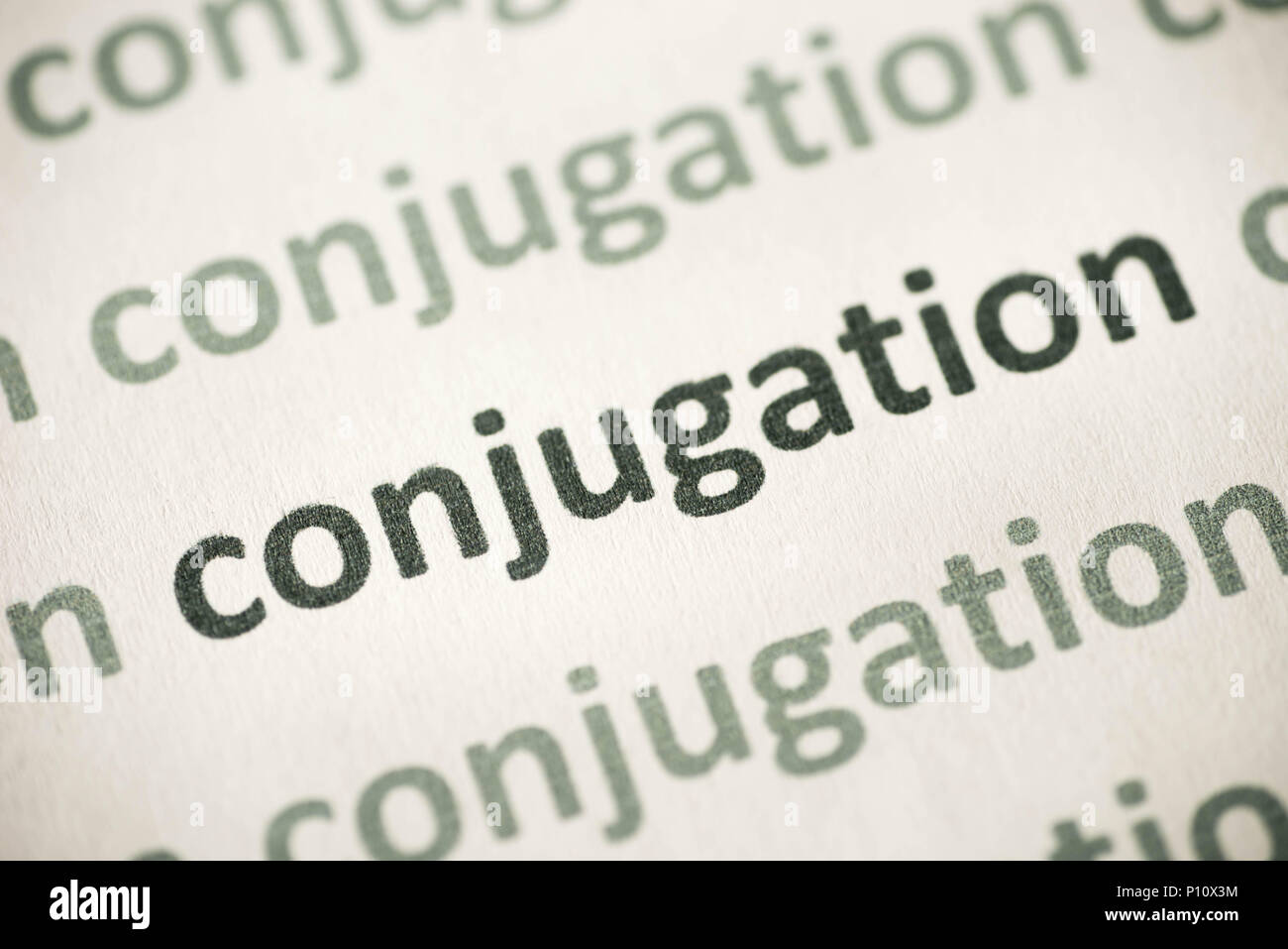 Word Makro conjugaion auf weißem Papier gedruckt Stockfoto