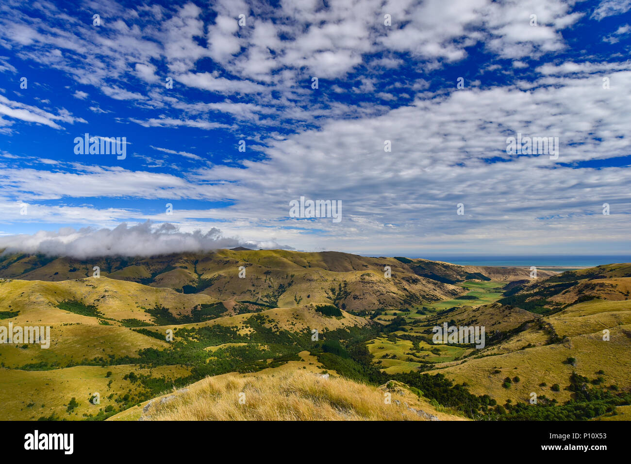 Grüne Berge und Hügel in Neuseeland Stockfoto