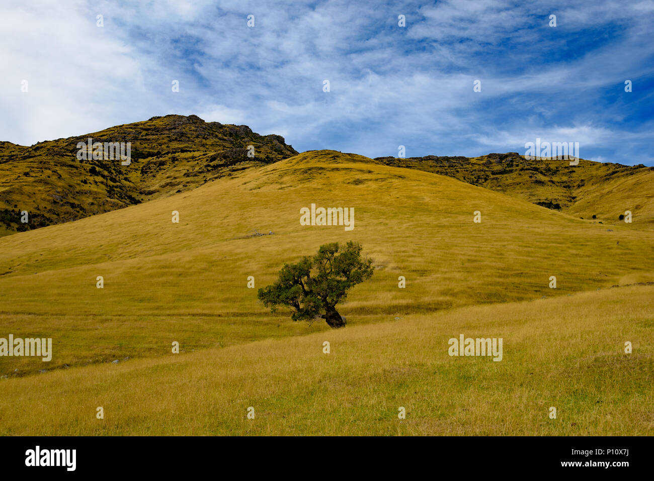 Grüne Berge und Hügel in Neuseeland Stockfoto