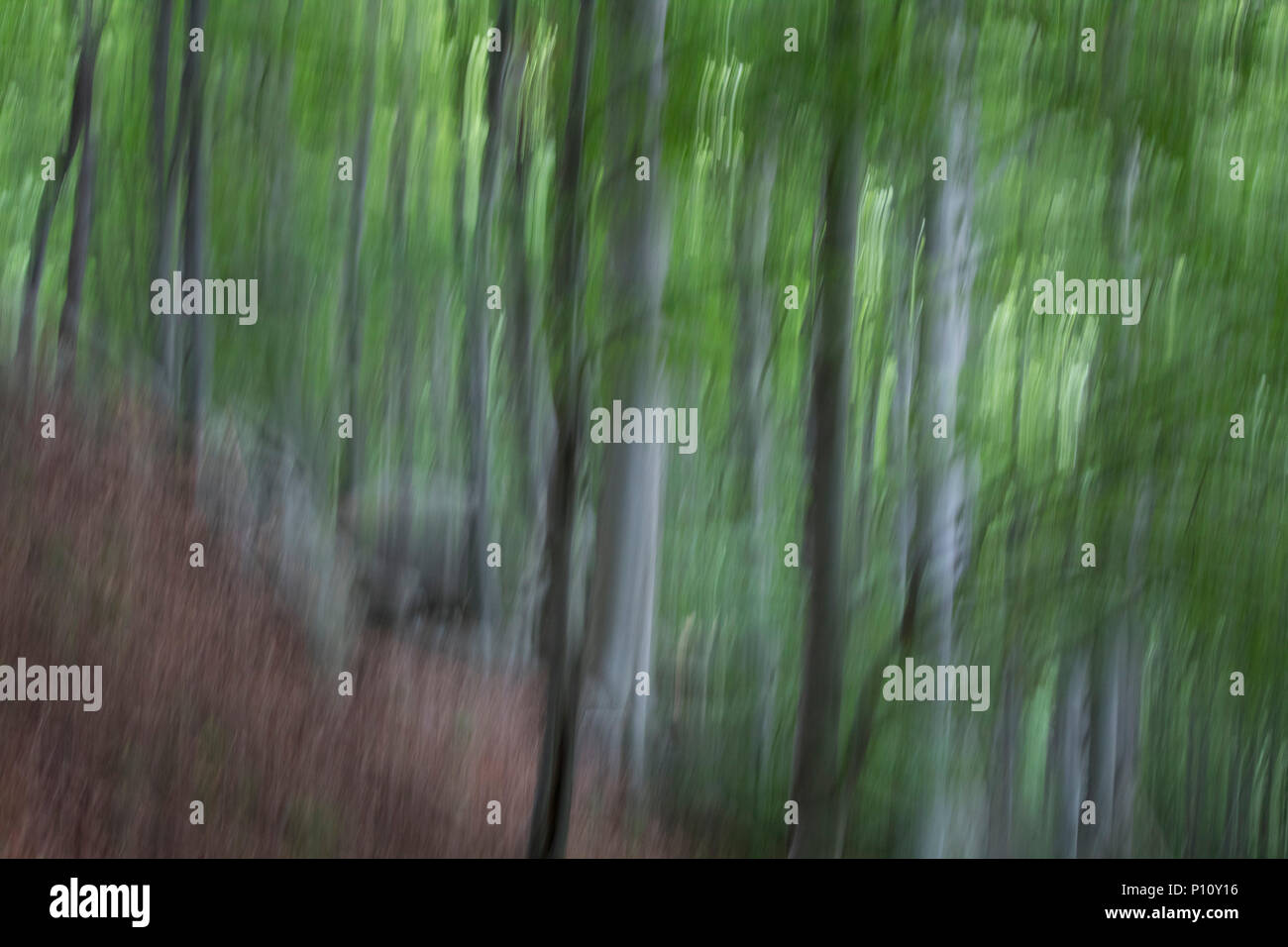 Abstrakte niedliche Bild von großer Berg Holz. Italien. Stockfoto
