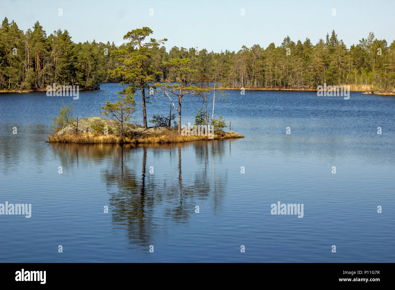 Typische schwedische Landschaft Stockfoto