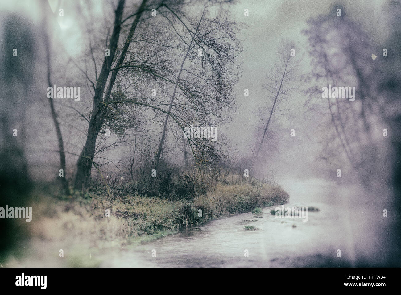 Fluss und Bäume im Nebel Stockfoto