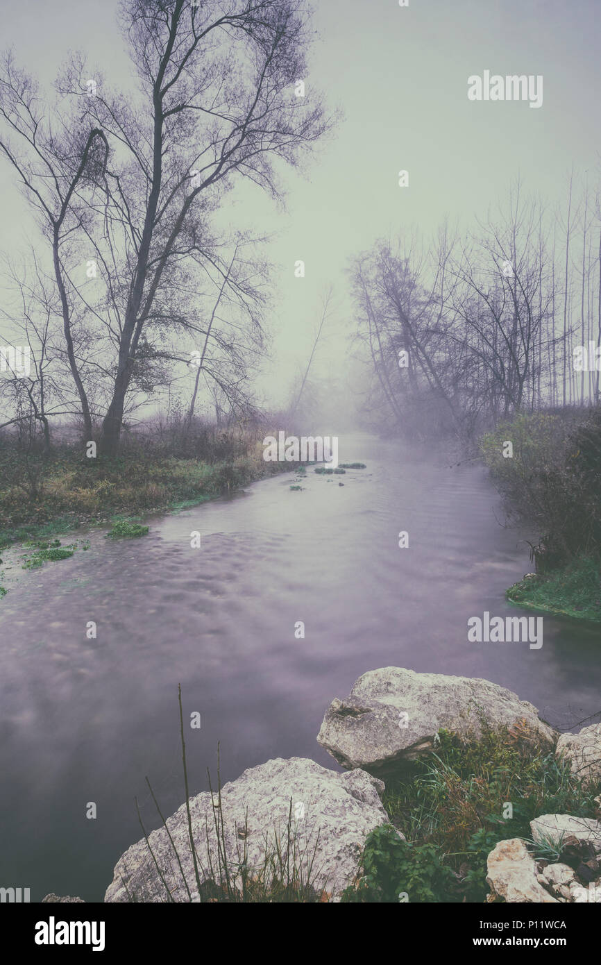 Fluss und Bäume im Nebel Stockfoto