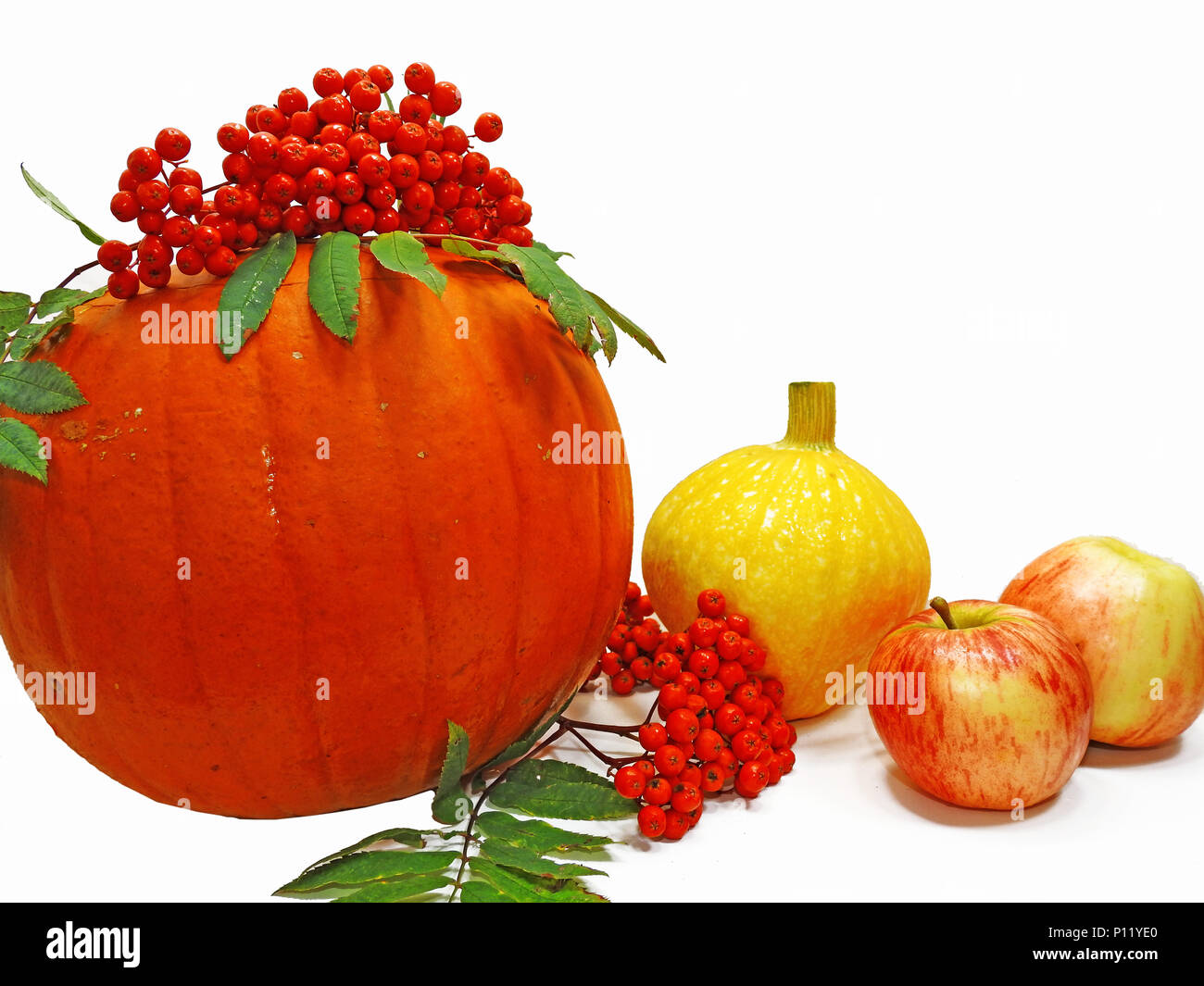 Herbst pflanzliche Zusammensetzung. Kürbisse mit Bündel von Rowan und Äpfeln dekoriert Stockfoto