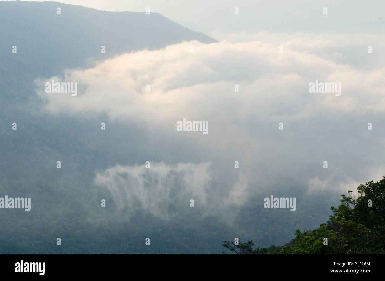 Anzeigen von Pha Deaw Dai Klippen der Khao Yai Nationalpark in Thailand Stockfoto