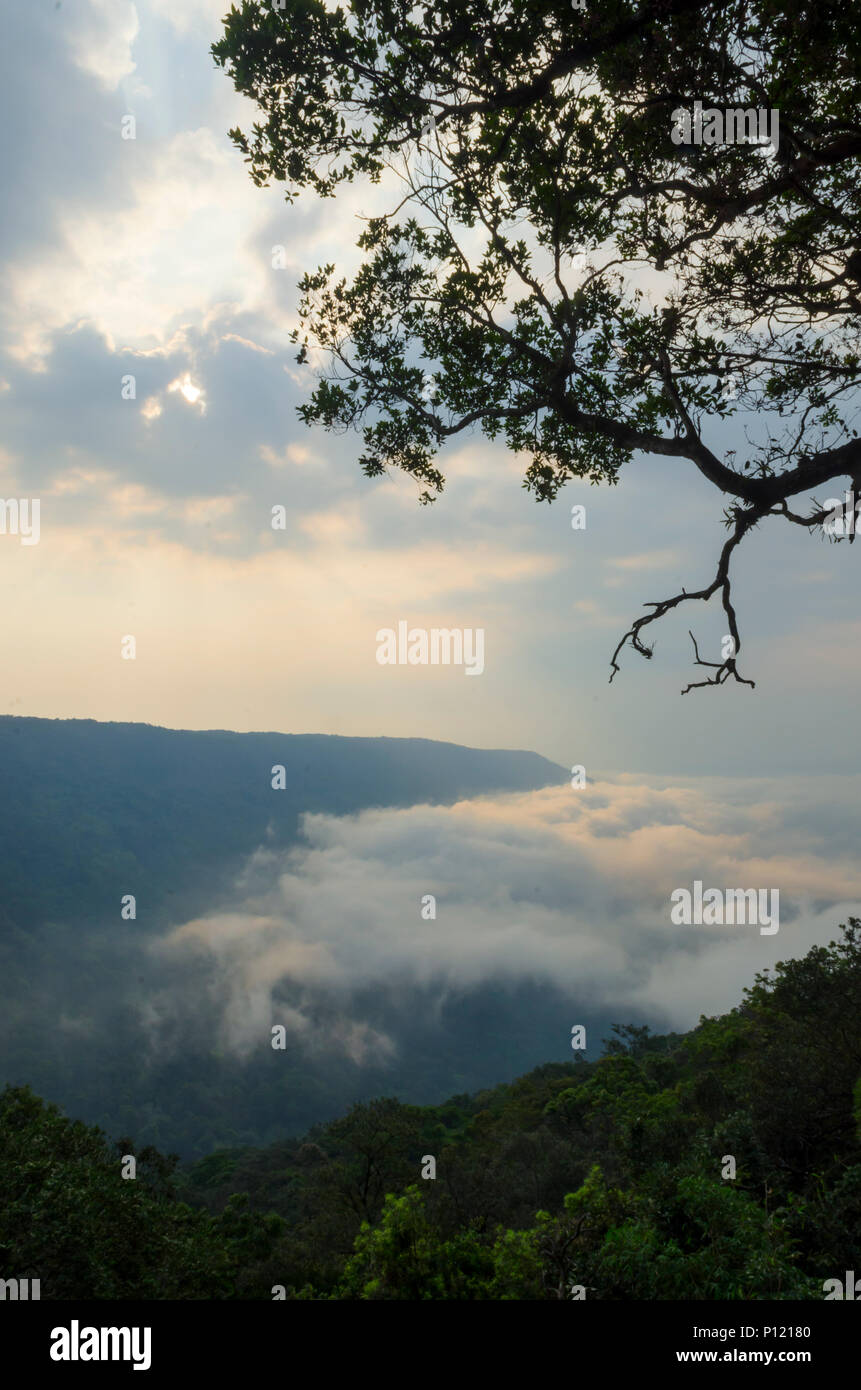 Anzeigen von Pha Deaw Dai Klippen der Khao Yai Nationalpark in Thailand Stockfoto