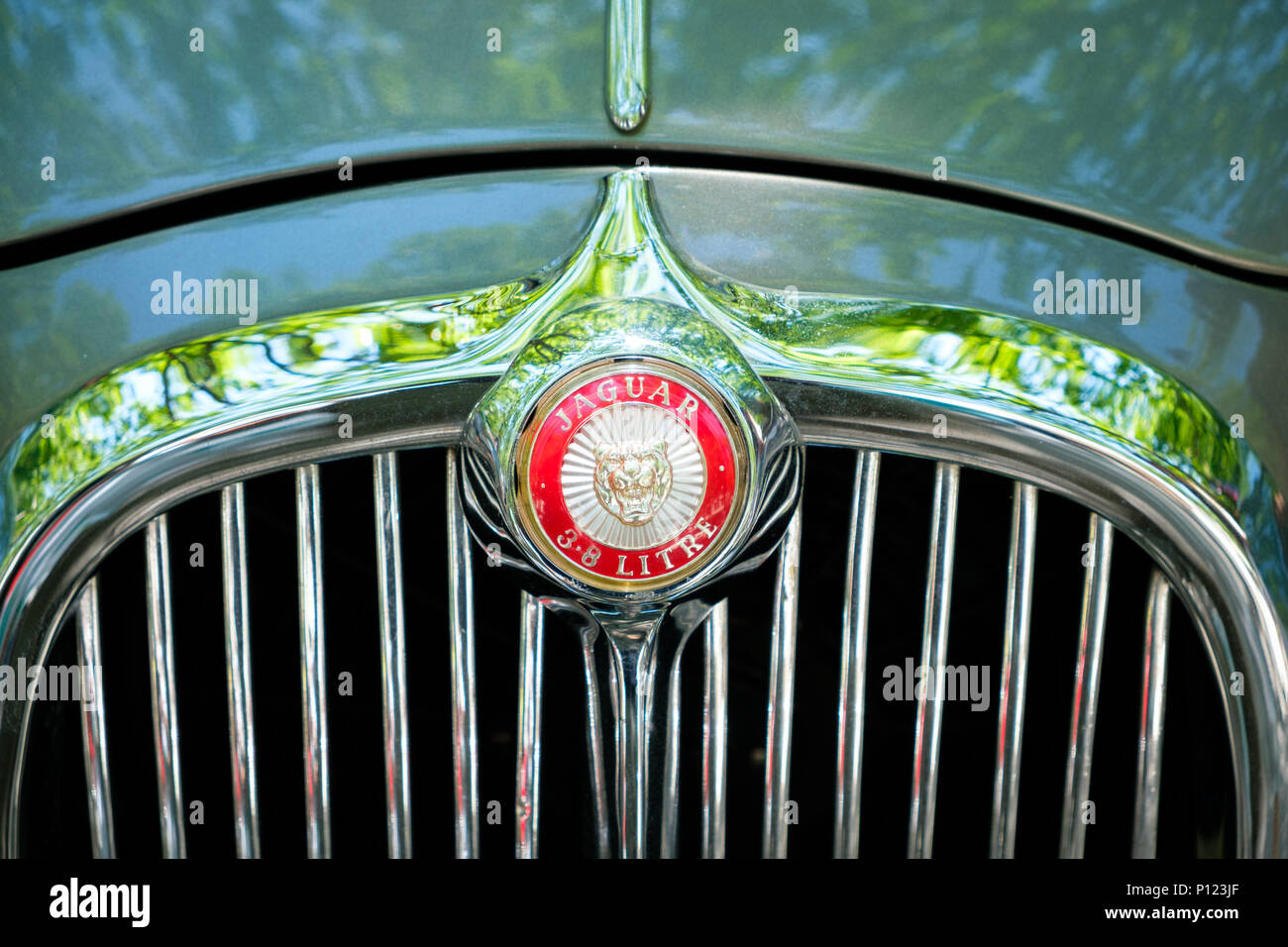 Berlin, Deutschland - Juni 09, 2018: Auto design detail und Jaguar Logo/Marke closeup an Oldtimer Automobil Veranstaltung in Berlin Stockfoto