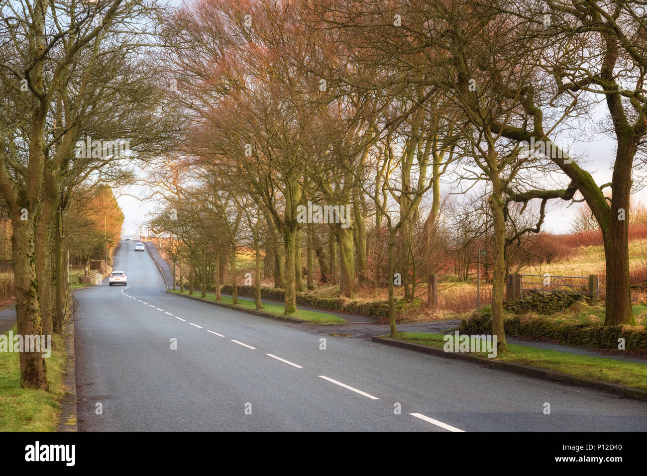 Ländliche land Straße durch den Englischen Woods in der Nähe von Nelson, Lancashire Stockfoto