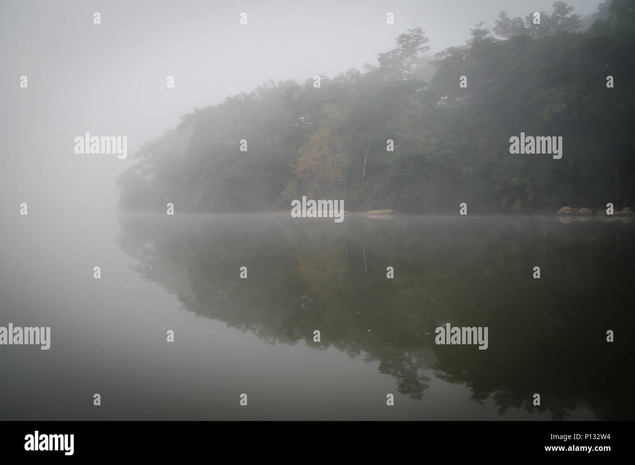 Die Moa Fluss Tiwai Island Wildlife Sanctuary bei Nebel am frühen Morgen mit mystischen Stimmung, Sierra Leone, Afrika Stockfoto